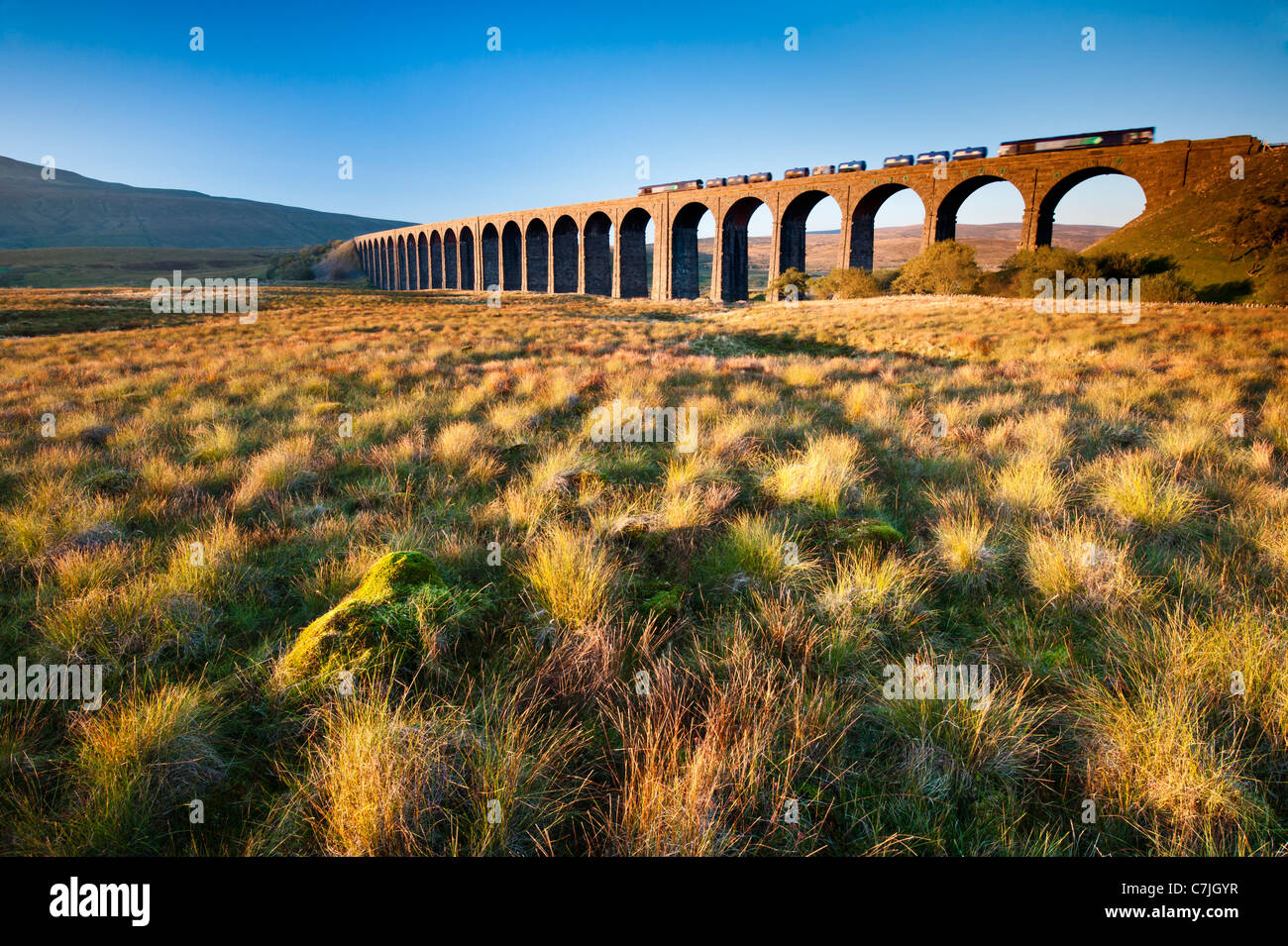 Tren Ribblehead Fraight cruzar el viaducto, Valles de Yorkshire, Inglaterra, Reino Unido. Foto de stock