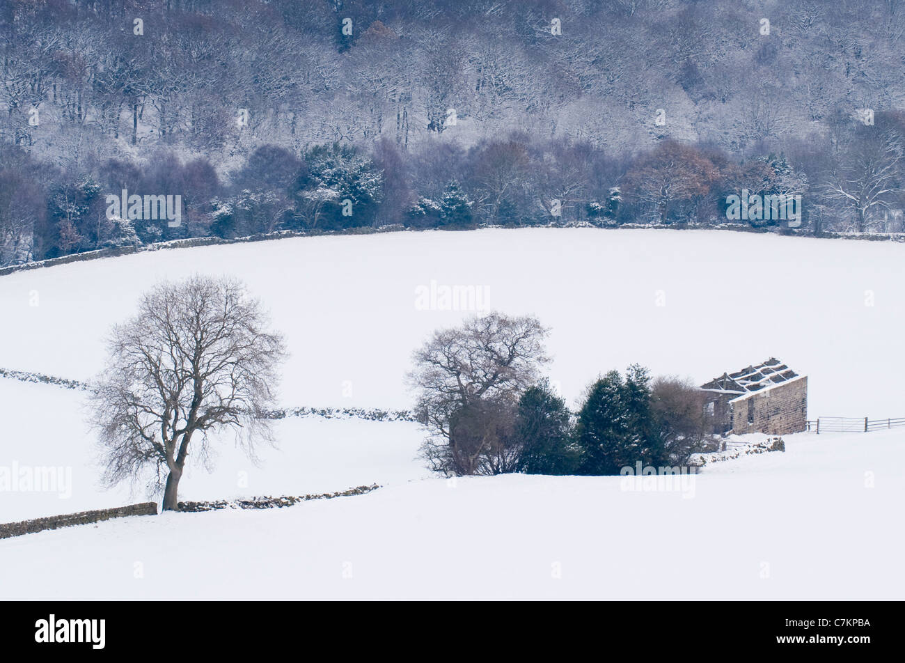 Vista alta del pintoresco valle rural cubierto de nieve en el frío día de invierno nevado (granero de campo de piedra derelict, bosque, laderas de la ladera) - Yorkshire, Inglaterra, Reino Unido Foto de stock