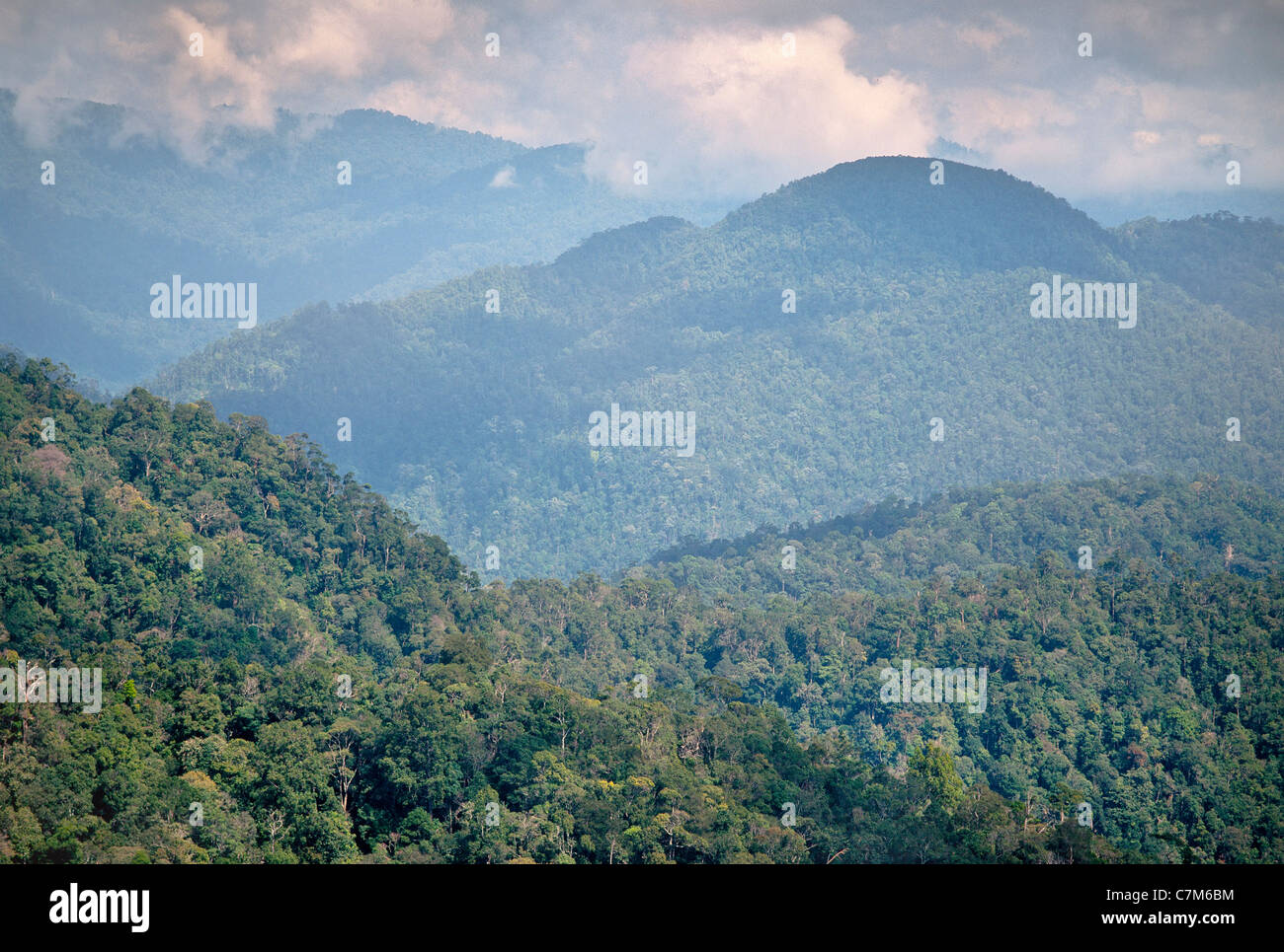 Exuberantes y tropicales boscosas colinas calcáreas, Parque Nacional de Mulu, Sarawak, Borneo, Malasia Oriental Foto de stock