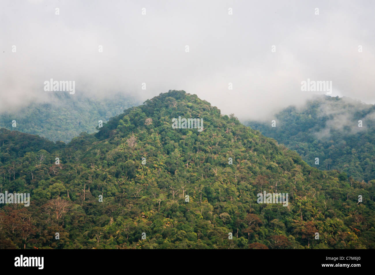 Exuberantes y tropicales boscosas colinas calcáreas, Parque Nacional de Mulu, Sarawak, Borneo, Malasia Oriental Foto de stock
