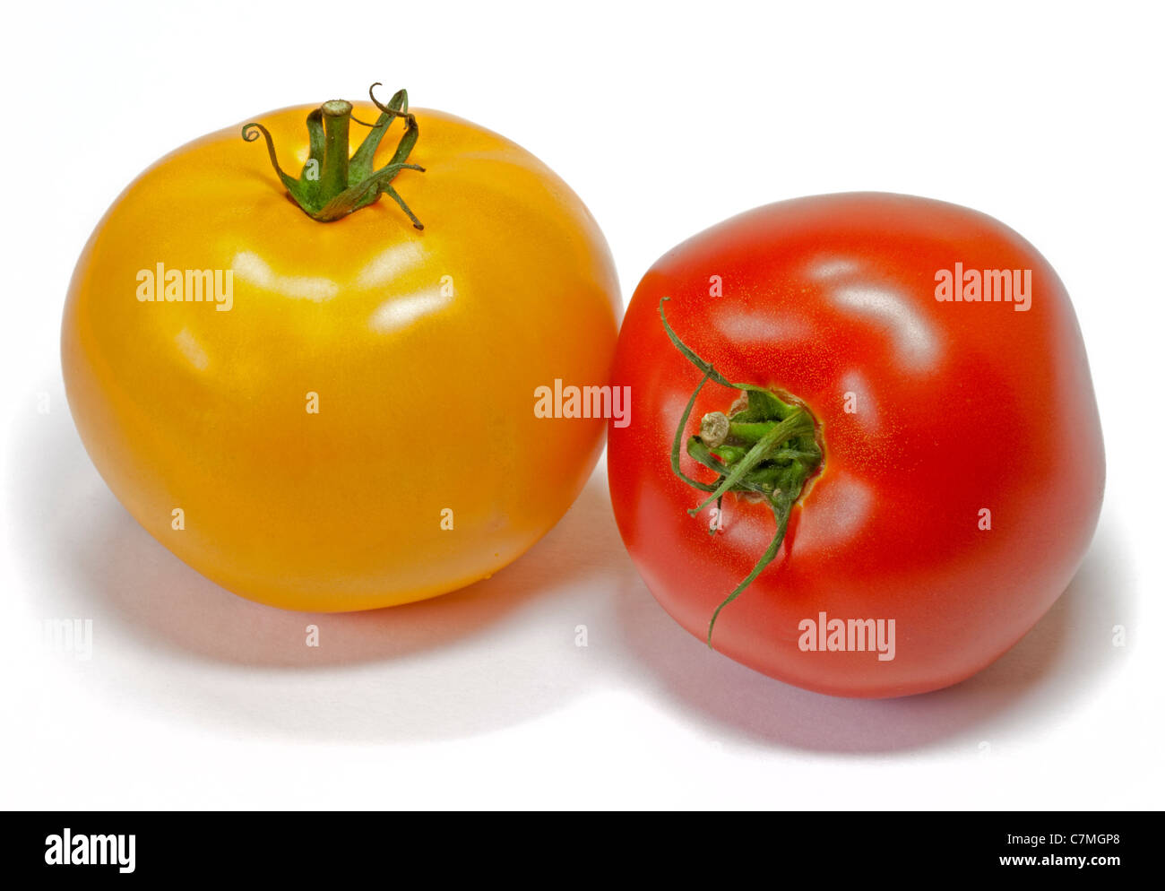 Tomates Beefsteak amarillo y rojo Foto de stock