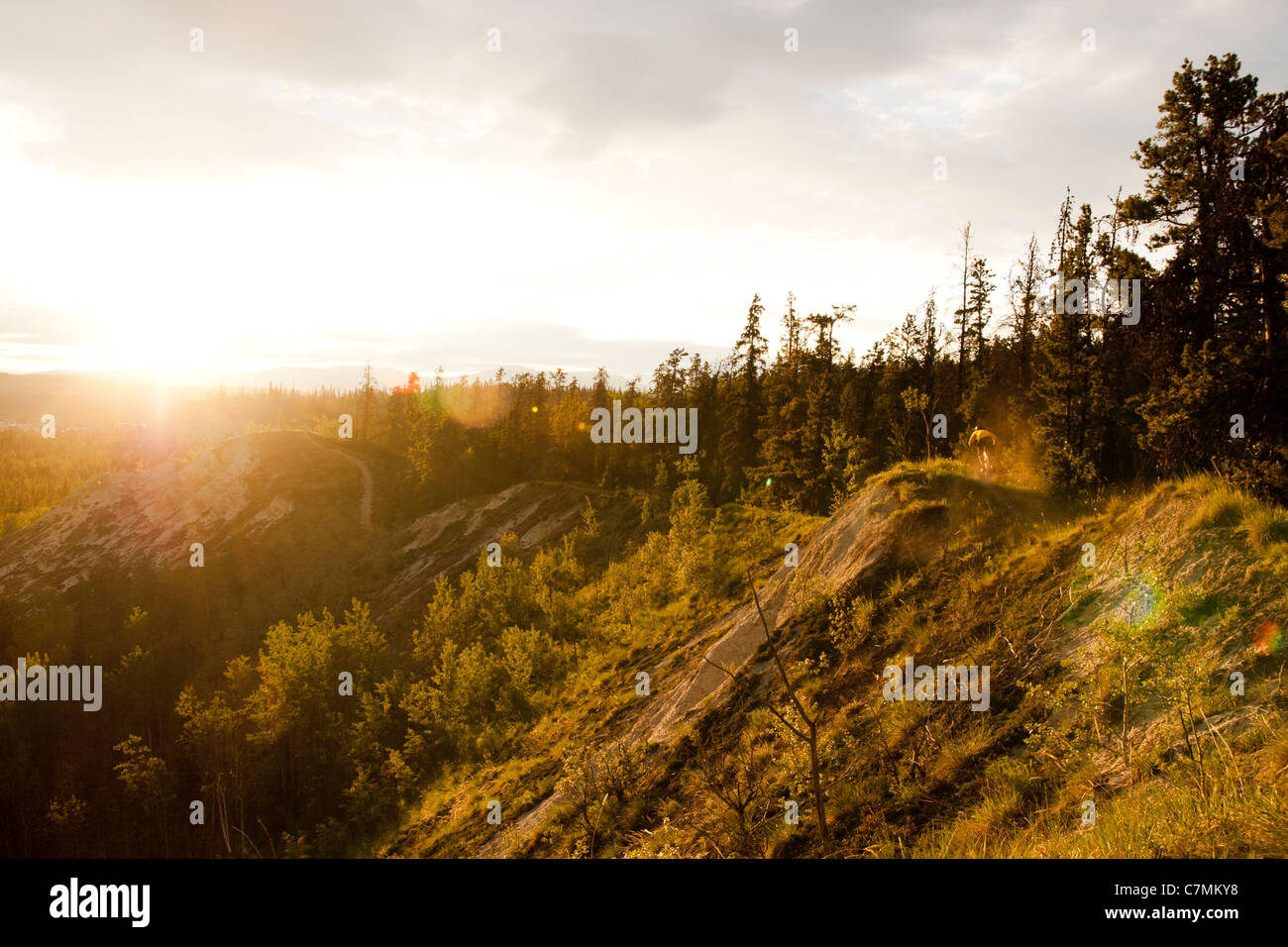 Un ciclista de montaña paseos Hospital Ridge trail bajo el sol de medianoche en Whitehorse, Yukon Territory, Canadá Foto de stock