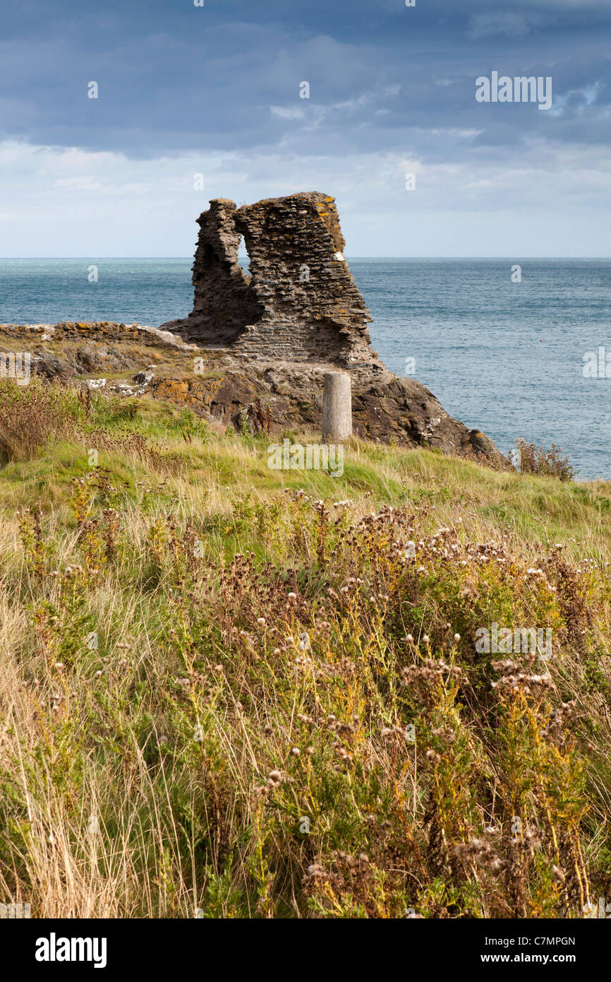 Irlanda, Co Wicklow, Wicklow, Castillo Negro con vistas mar irlandés. Foto de stock