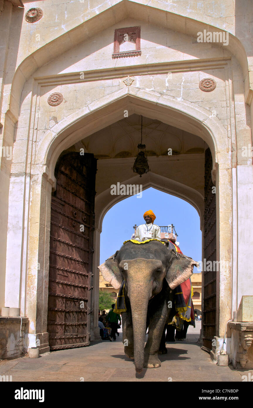 Elefante y cornaca en la puerta del Palacio Ámbar Rajastán India Foto de stock