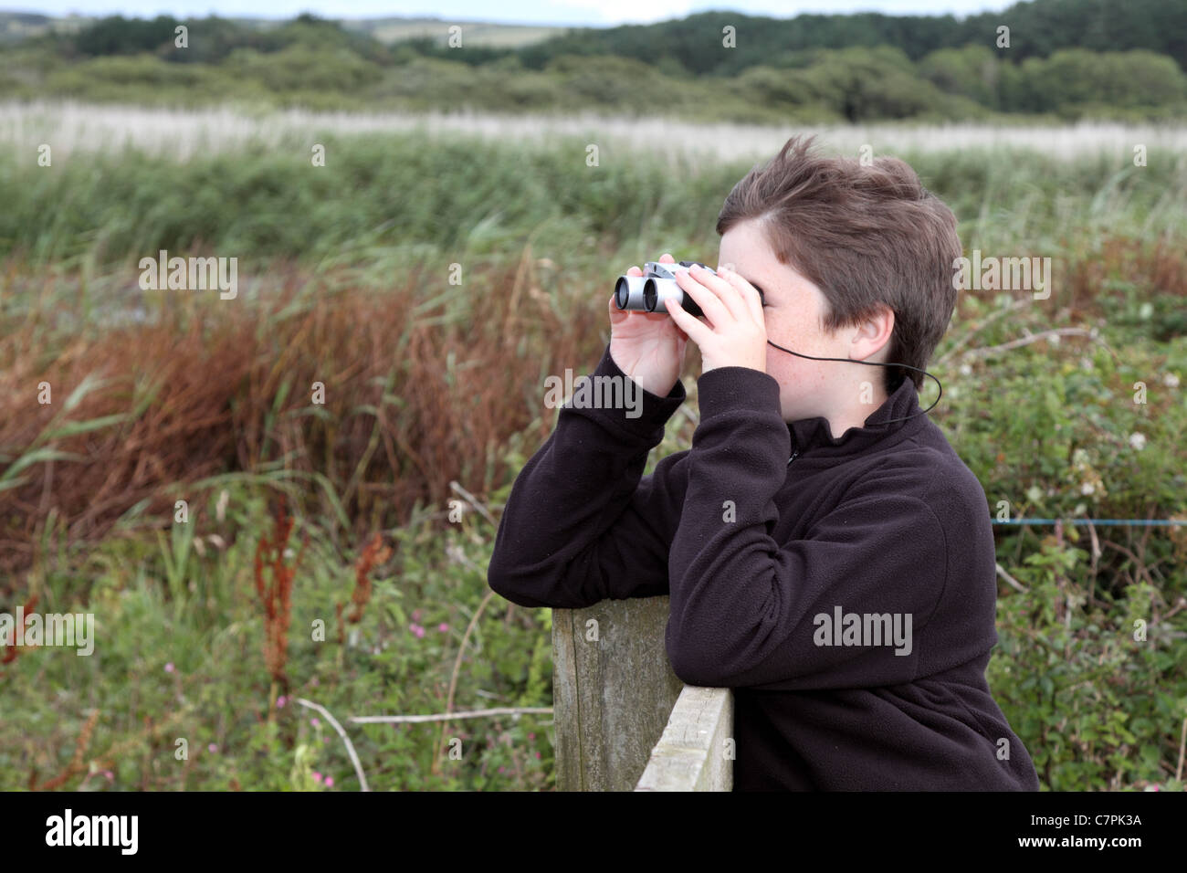 Boy avistaje de aves; Marazion; Cornwall Foto de stock