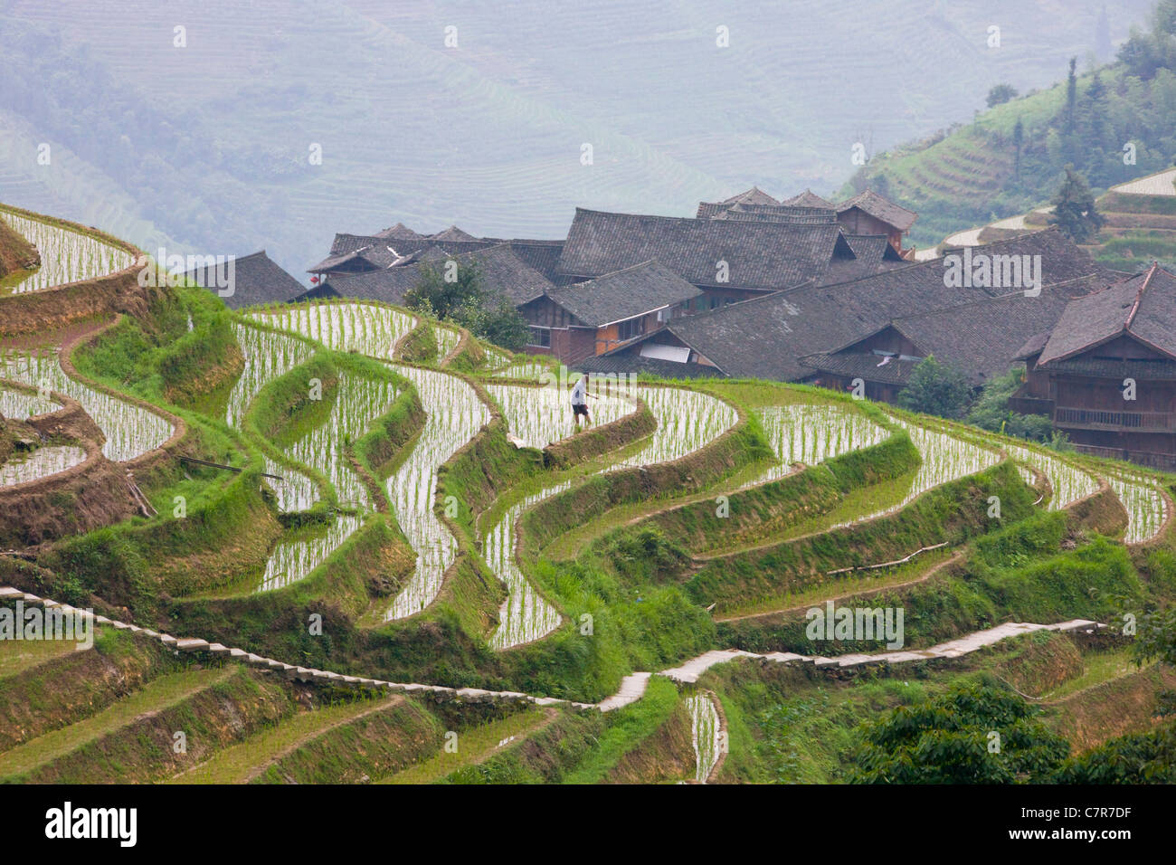 Casas de pueblo con terrazas de arroz en la montaña, Longsheng, Guangxi, China Foto de stock