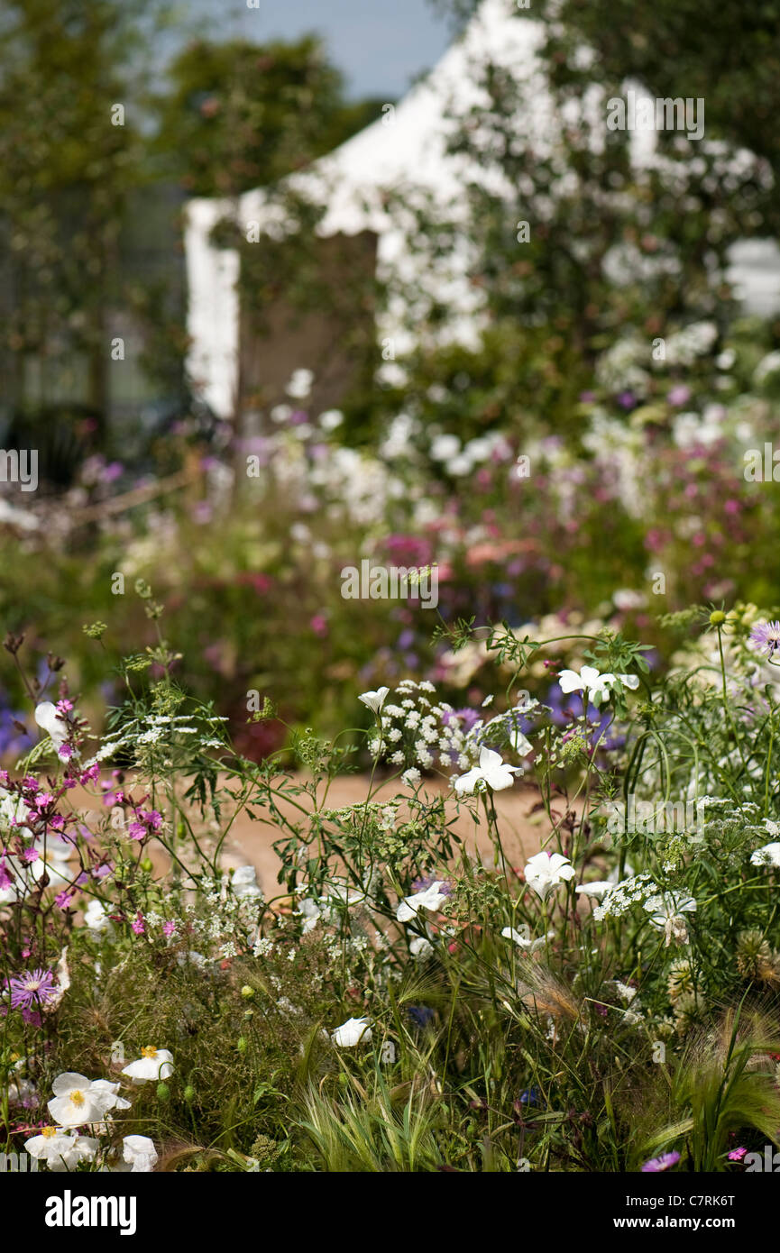 La planta Copella & Protect Garden en 2011 Hampton Court Palace Flower Show, REINO UNIDO Foto de stock