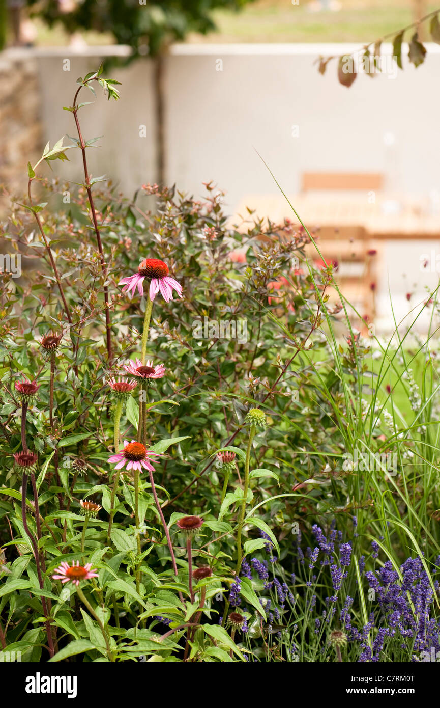 En armonía Heathers pequeño jardín en 2011 Hampton Court Palace Flower Show, REINO UNIDO Foto de stock