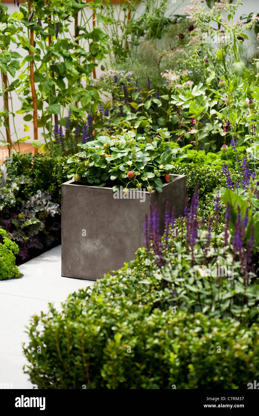 El potencial Fiesta jardín pequeño jardín en 2011 Hampton Court Palace Flower Show, REINO UNIDO Foto de stock