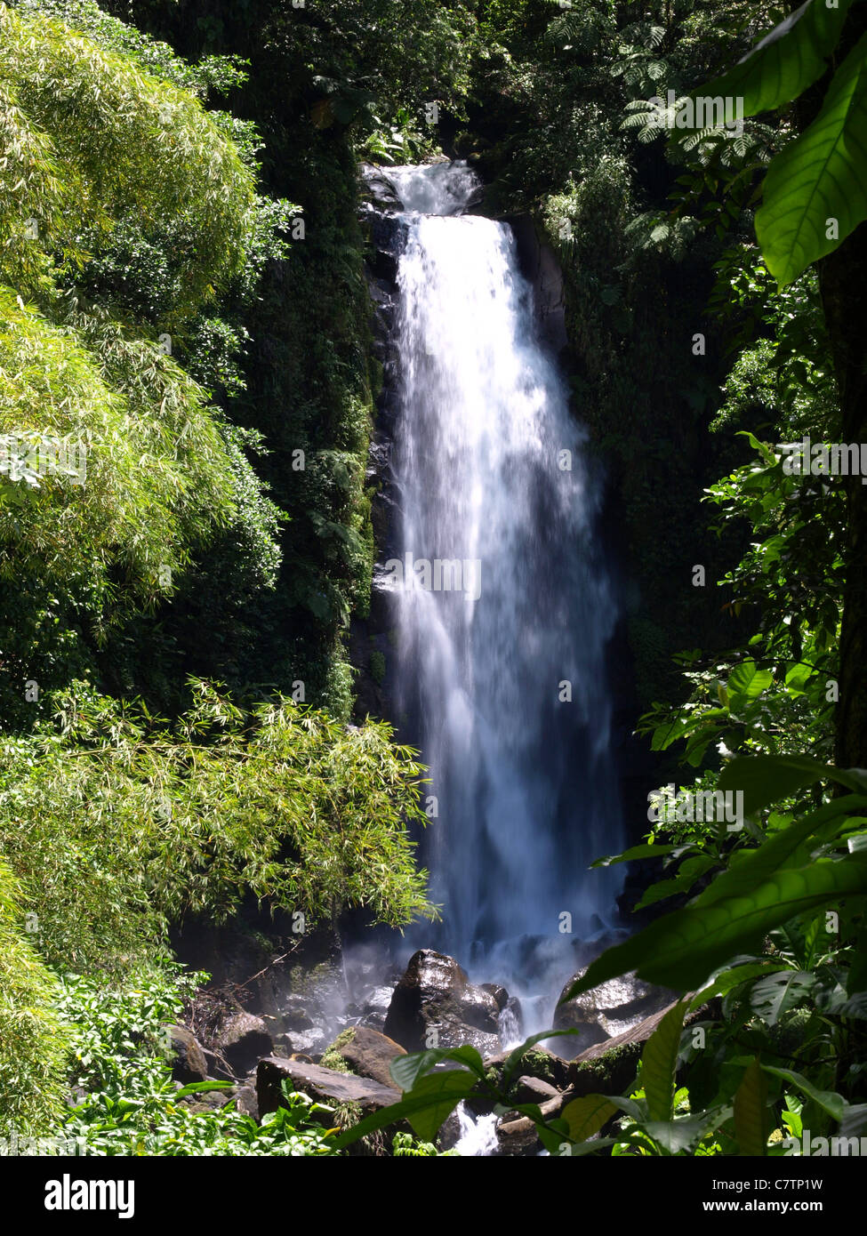 Trafalgar Falls en el Commonwealth de Dominica, Indias Occidentales, Caribe. Foto de stock