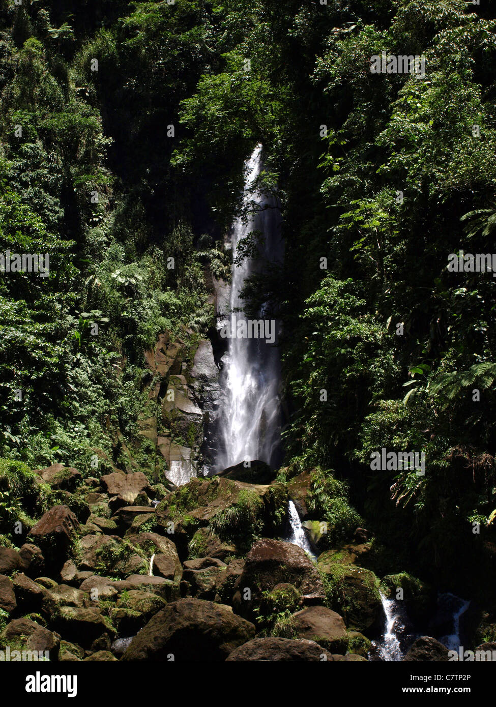 Una cascada en el Commonwealth de Dominica, Indias Occidentales, Caribe. Foto de stock
