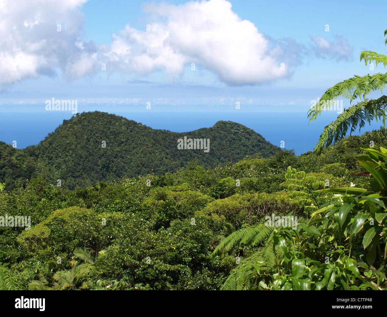 Morne Trois Pitons vista en el Commonwealth de Dominica, Indias Occidentales, Caribe. Foto de stock