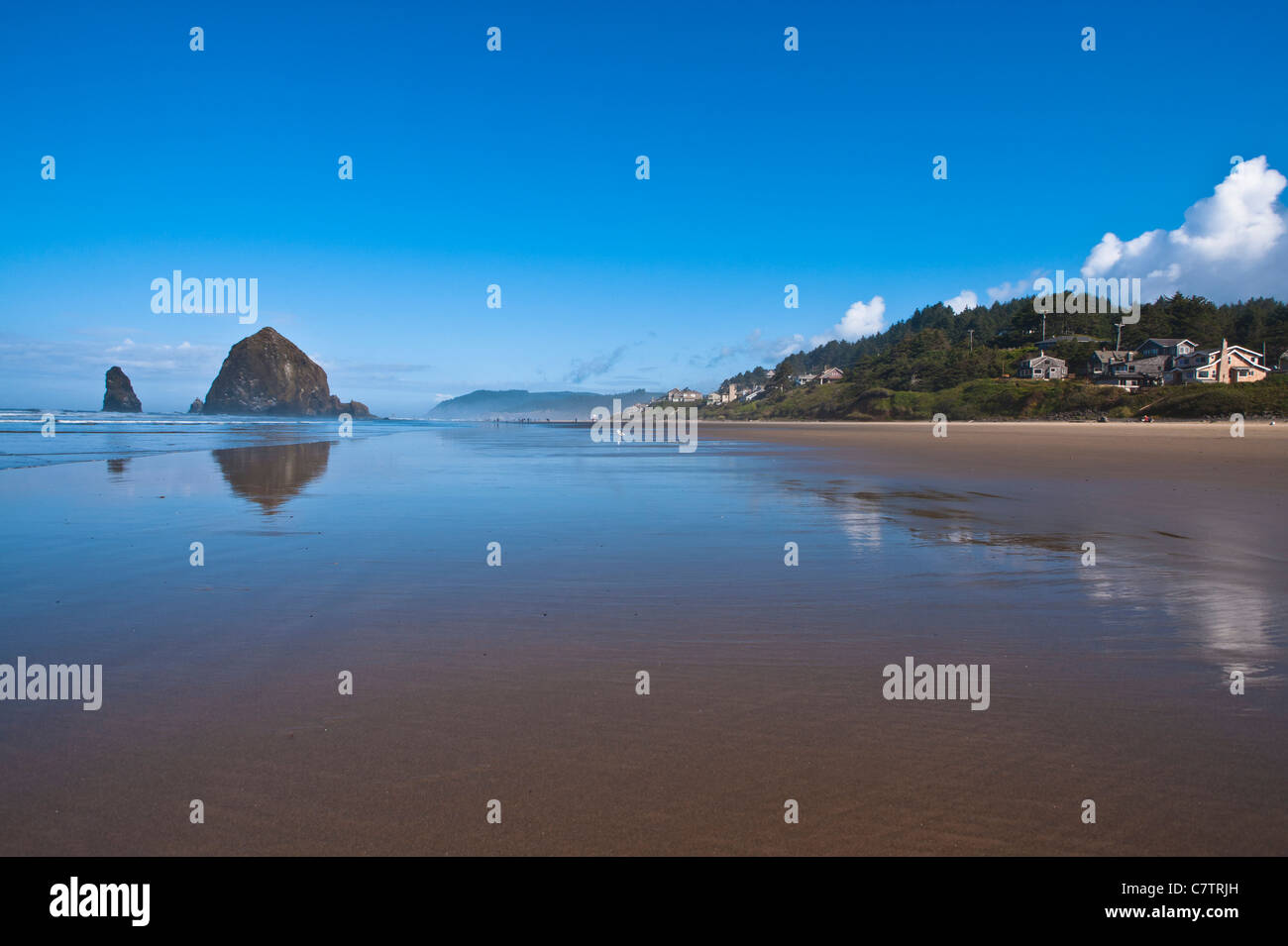Haystack Rock está a 235 pies (72 metros), la pila de mar en Cannon