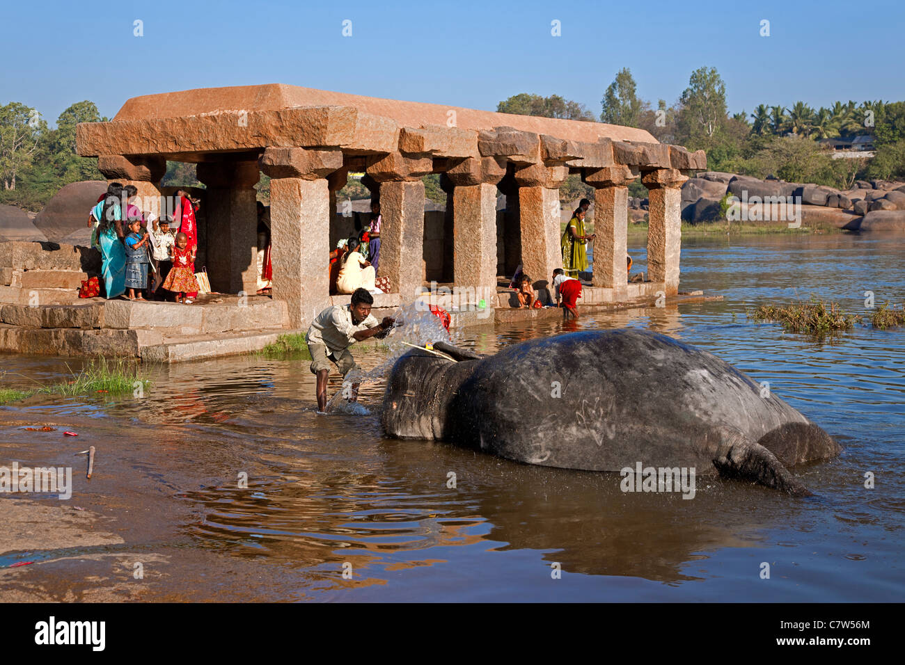 Mahout (elefante keeper) el lavado de un elefante. El río Tungabhadra. Hampi. Karnataka. La India Foto de stock