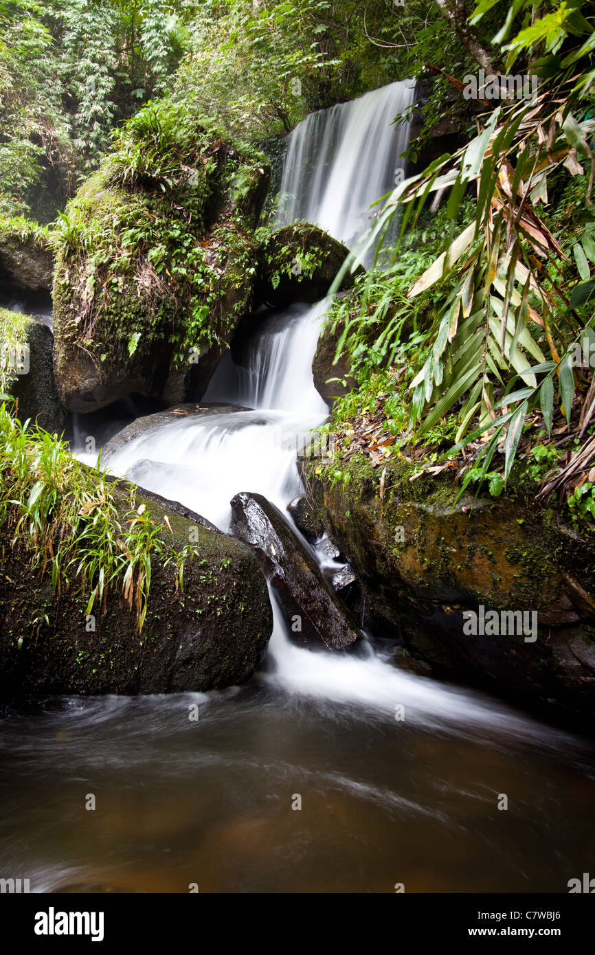 Cascada pacífica en Tailandia Foto de stock