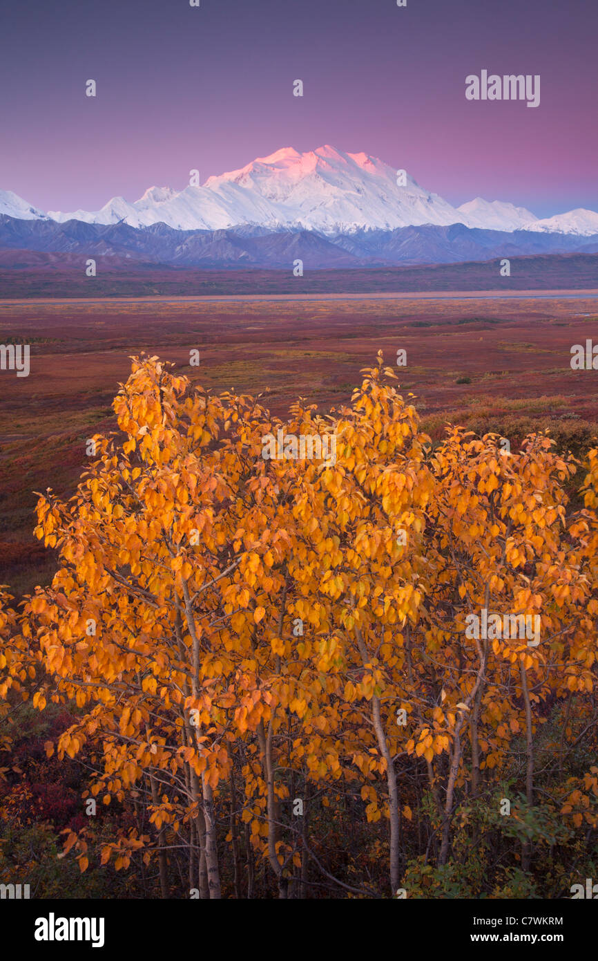 El monte McKinley, también llamado Denali, el Parque Nacional Denali, Alaska. Foto de stock