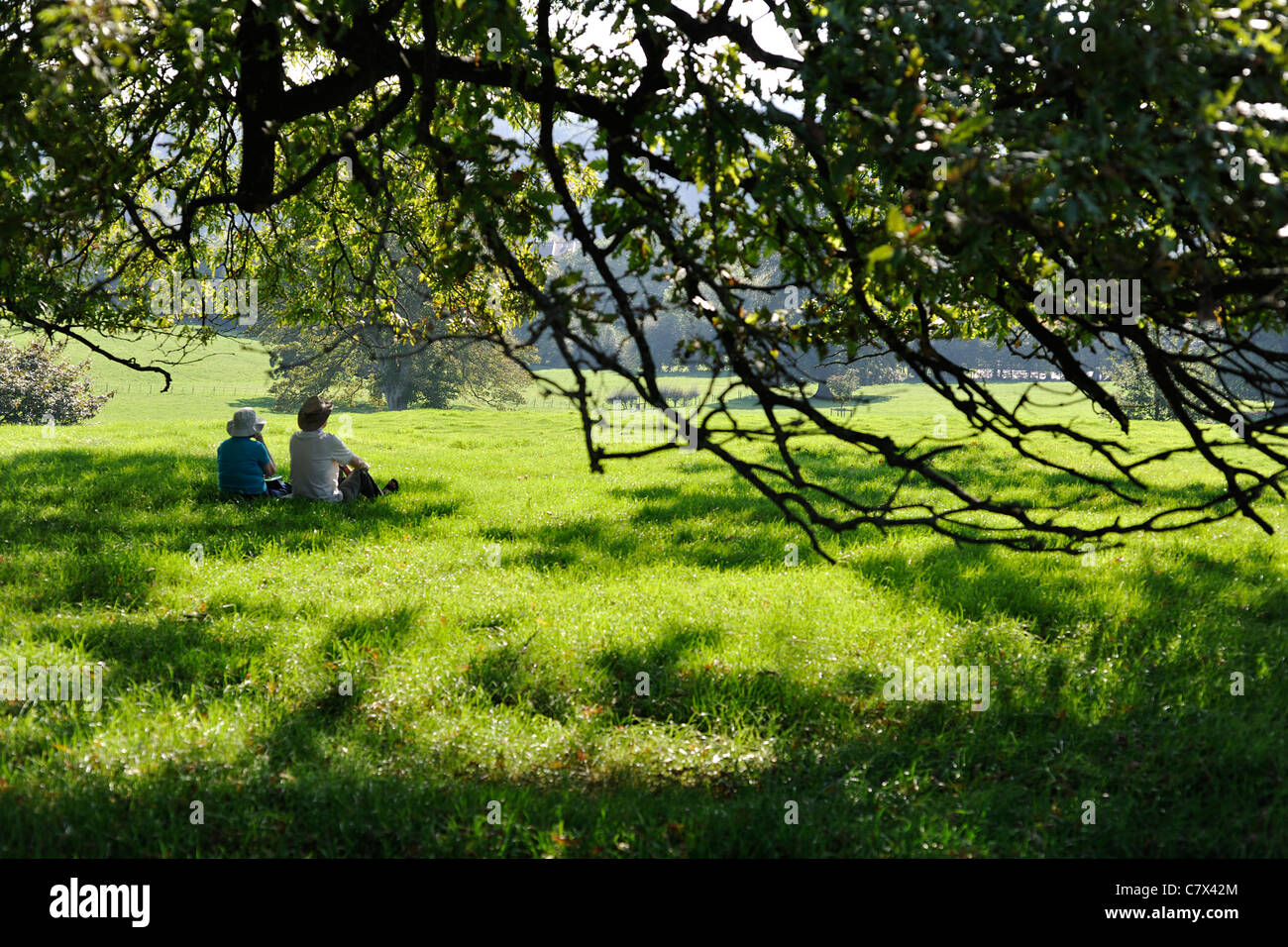 Pareja de ancianos bajo un árbol, admirando las vistas Fotografía de stock  - Alamy