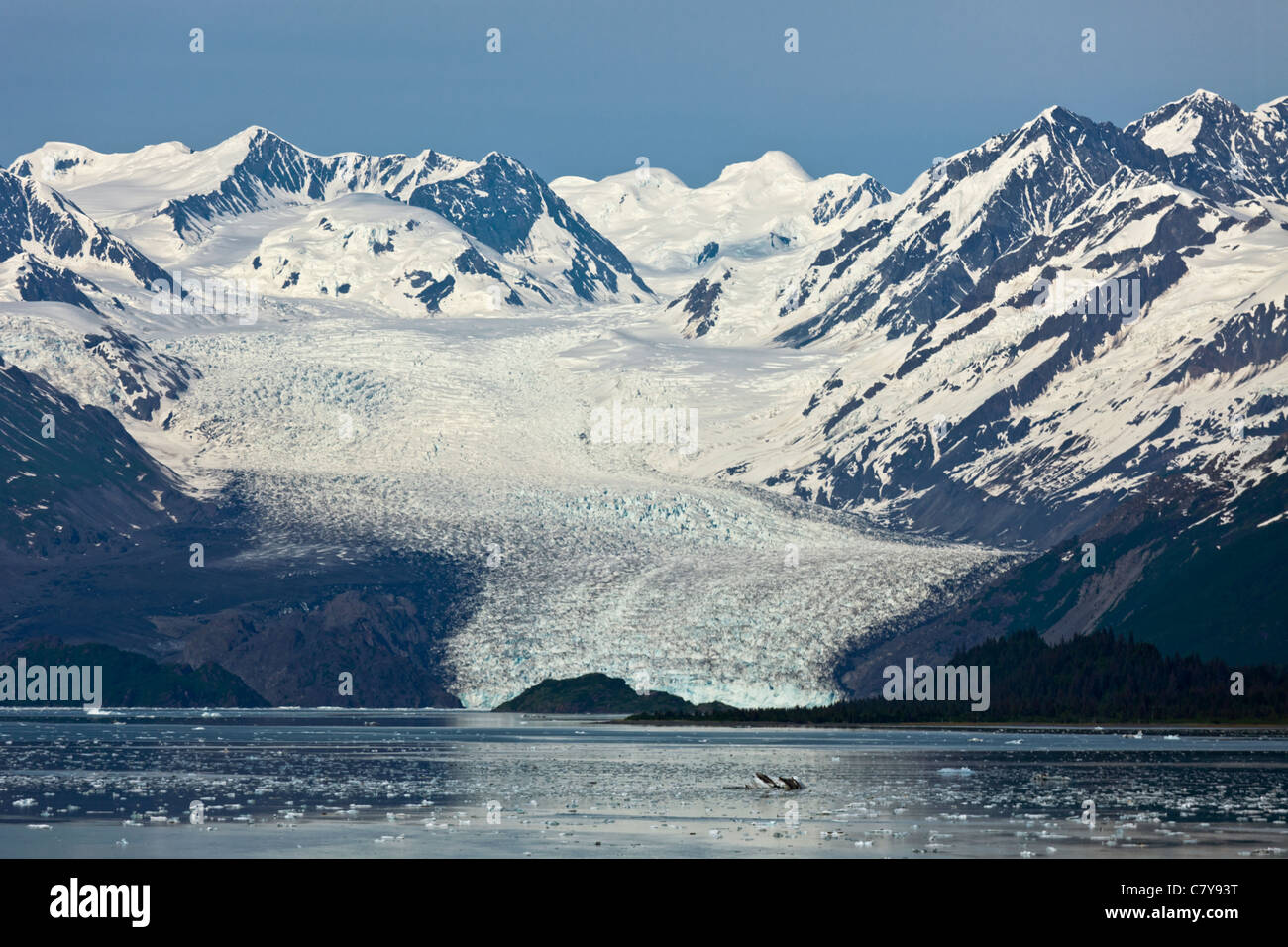 Vista lejana del glaciar en Yale College Fjord, Alaska Foto de stock
