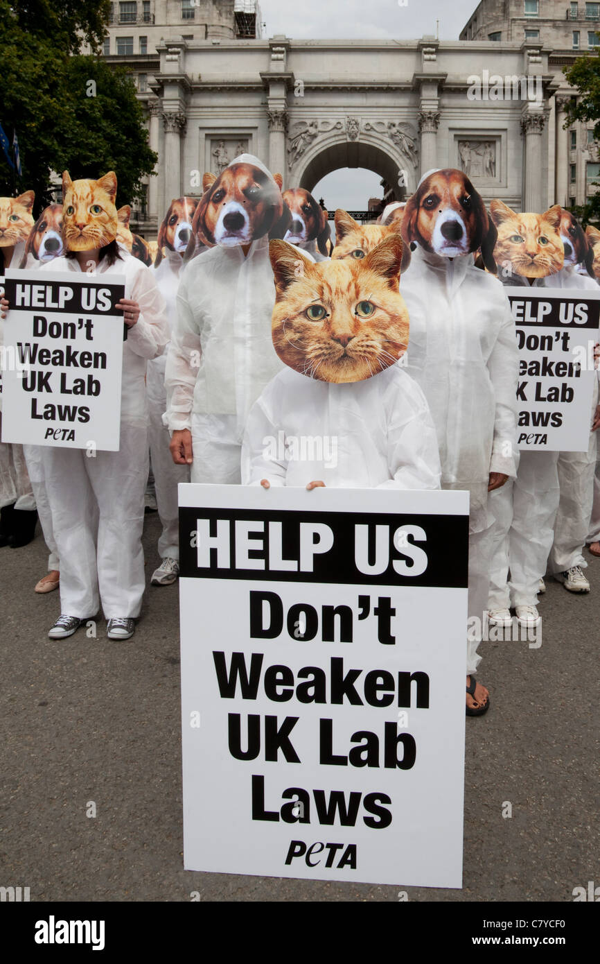 PETA miembros instaron al Gobierno a no reducir los estándares del Reino Unido de la protección de los animales en el menor nivel de la UE. Foto de stock