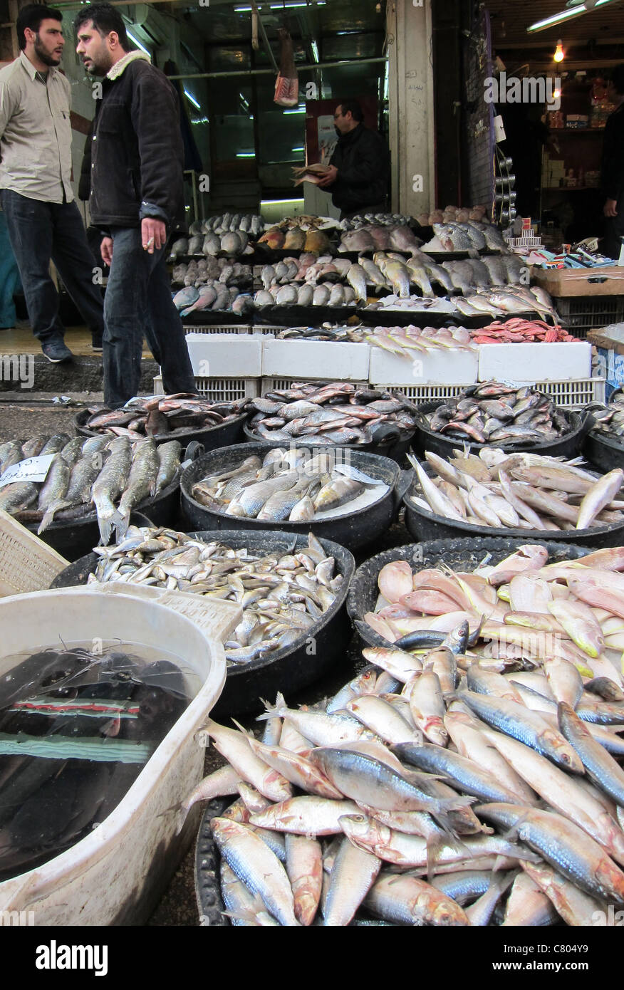Saler vendedor ambulante en Damasco, en Siria sirio Damaskus Strassenverkäufer pez Fisch Foto de stock