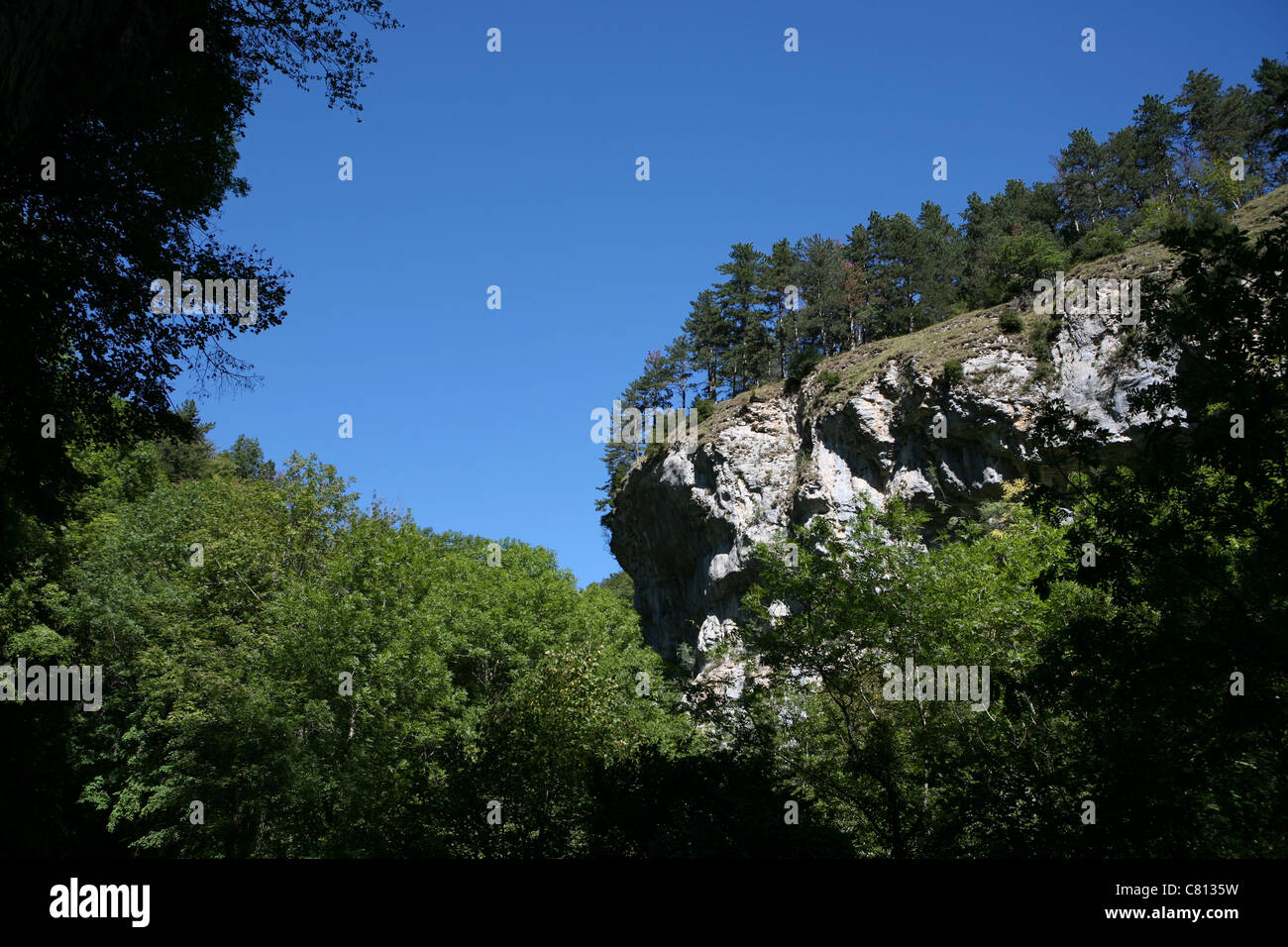 Un grupo de pinos en el borde de un precipicio, le Moulin de la Pipe, Drome Valley, sudeste de Francia Foto de stock