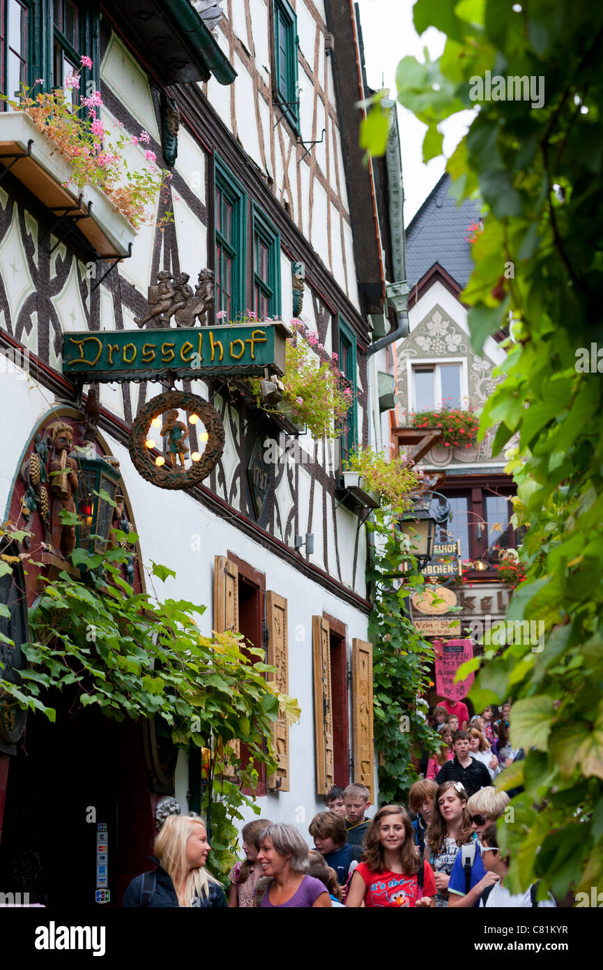 La famosa calle de Drosselgasse turística popular en la ciudad de Rudesheim Rin en Alemania Foto de stock