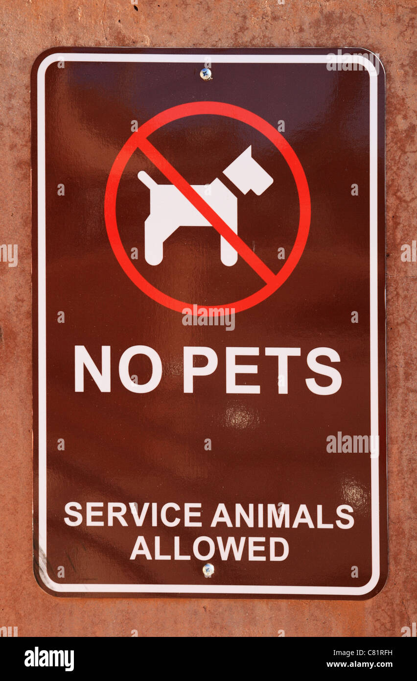 No se aceptan mascotas marrón firmar en una pared. Foto de stock
