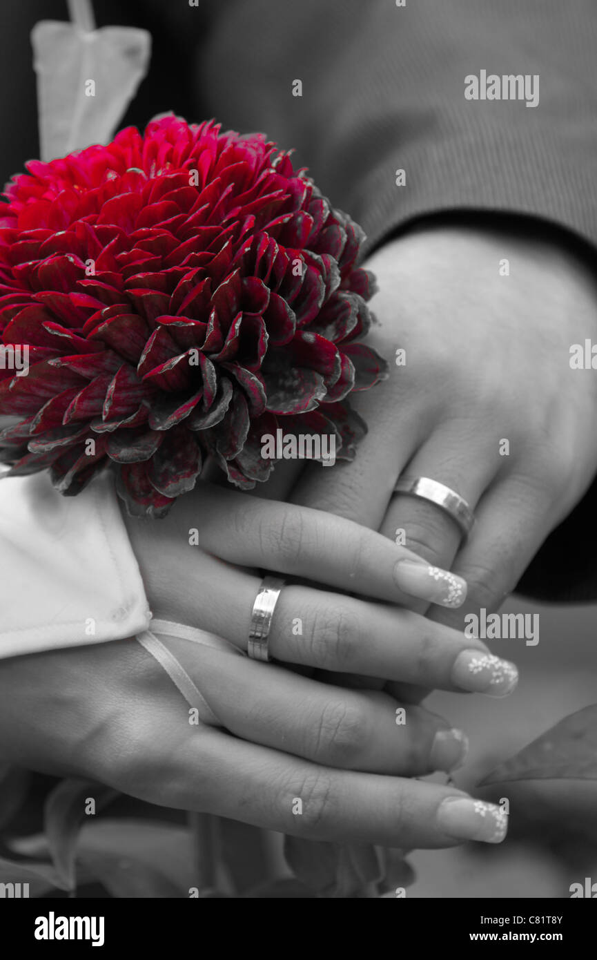 Manos de nueva pareja casada con anillos poner cerca uno del otro, cerca de  la flor roja Fotografía de stock - Alamy