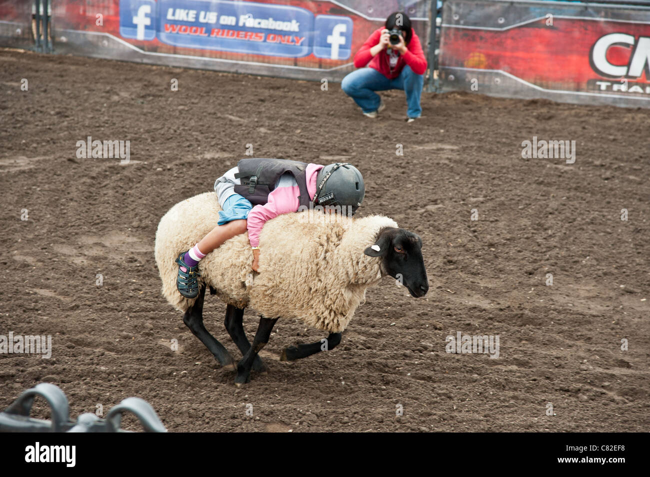 Feria de campo son divertidas fotografías e imágenes de alta resolución
