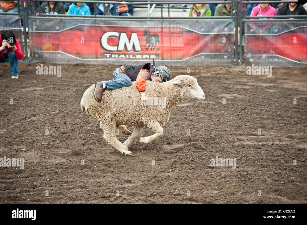 Feria de ovejas entretenimiento fotografías e imágenes de alta
