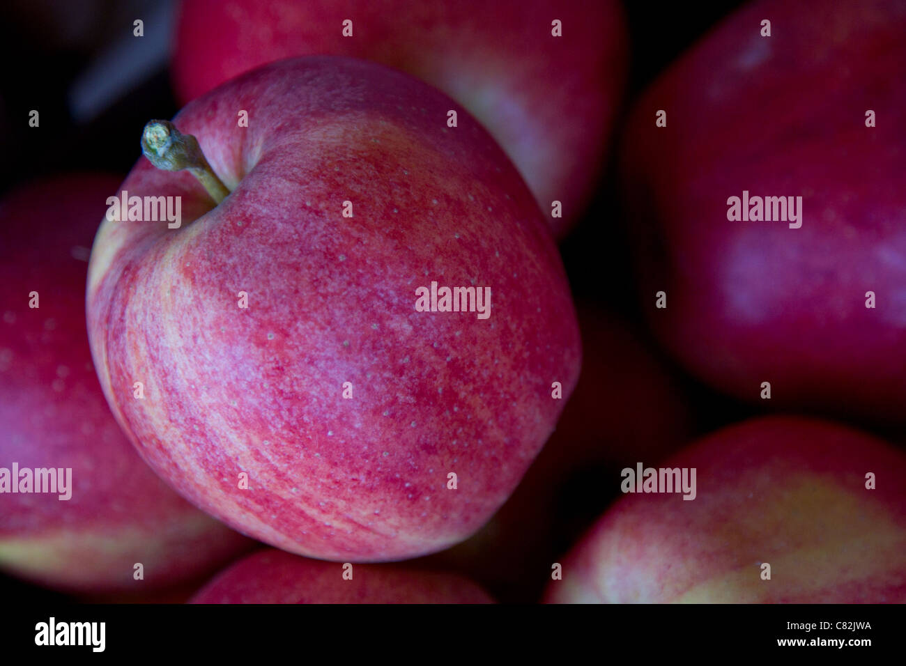 manzana gala Foto de stock
