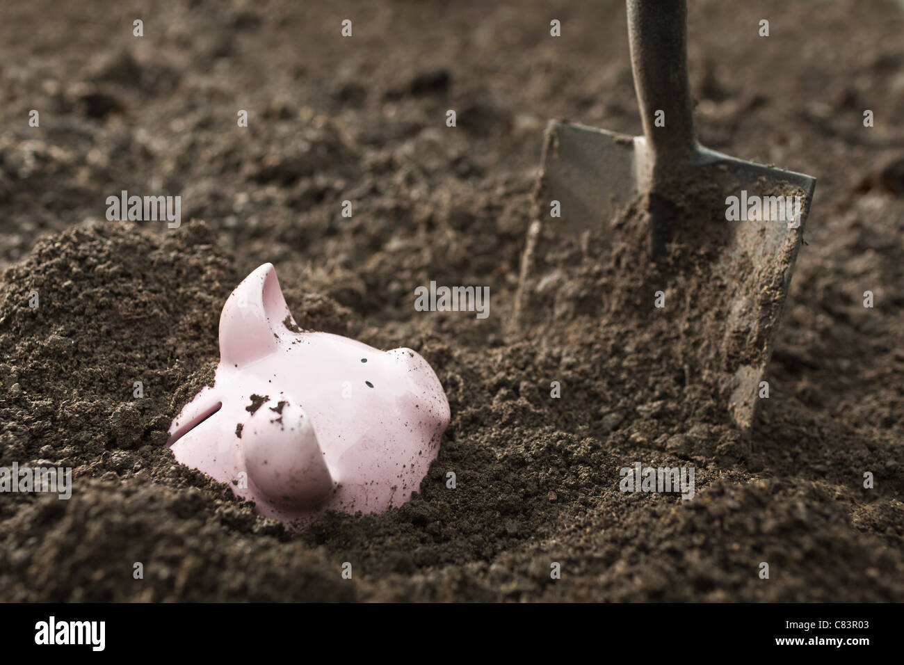 Pala de excavar hasta hucha Foto de stock