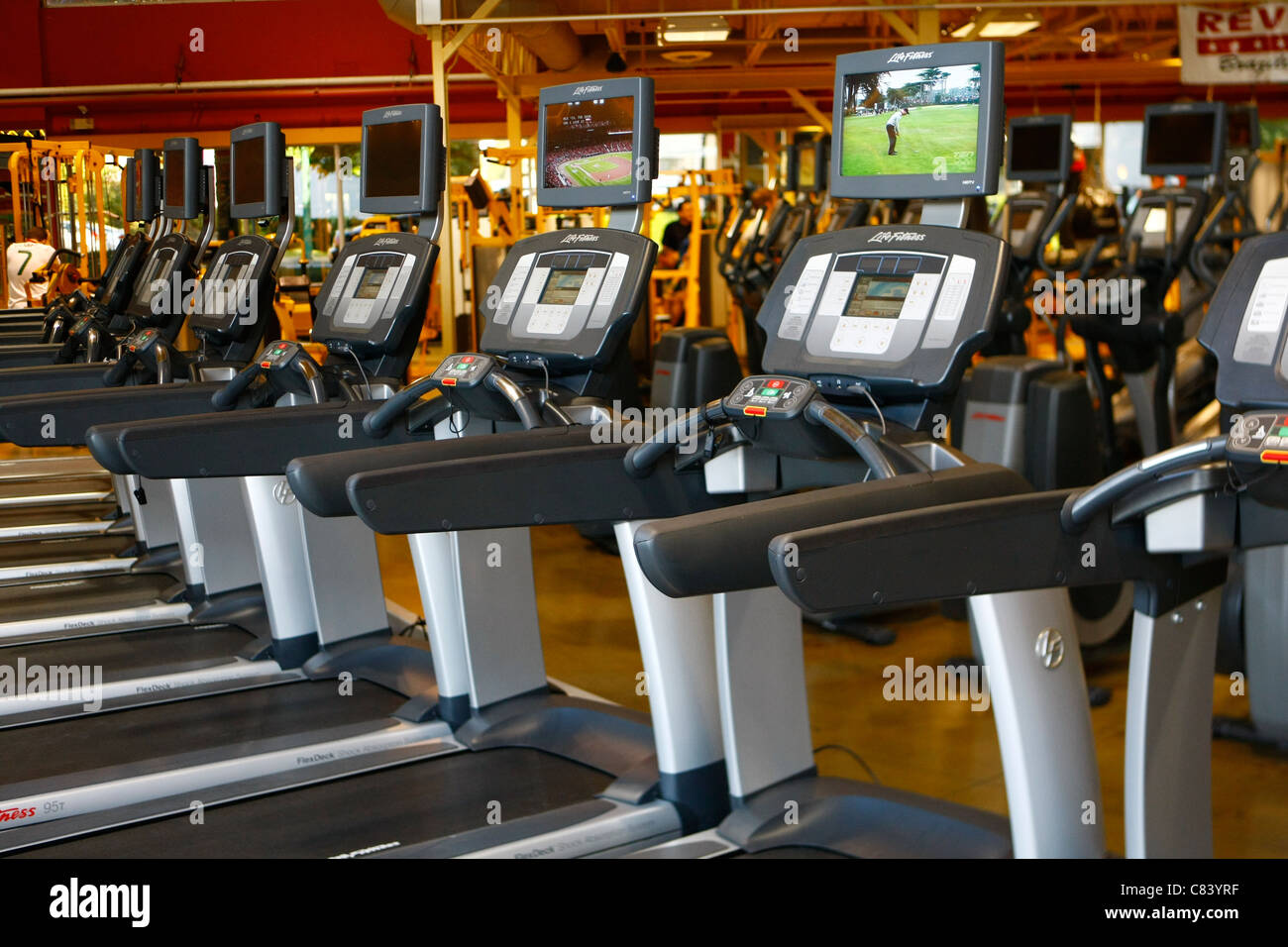 Cadio caminadoras y equipos para hacer ejercicio en un gimnasio Foto de stock