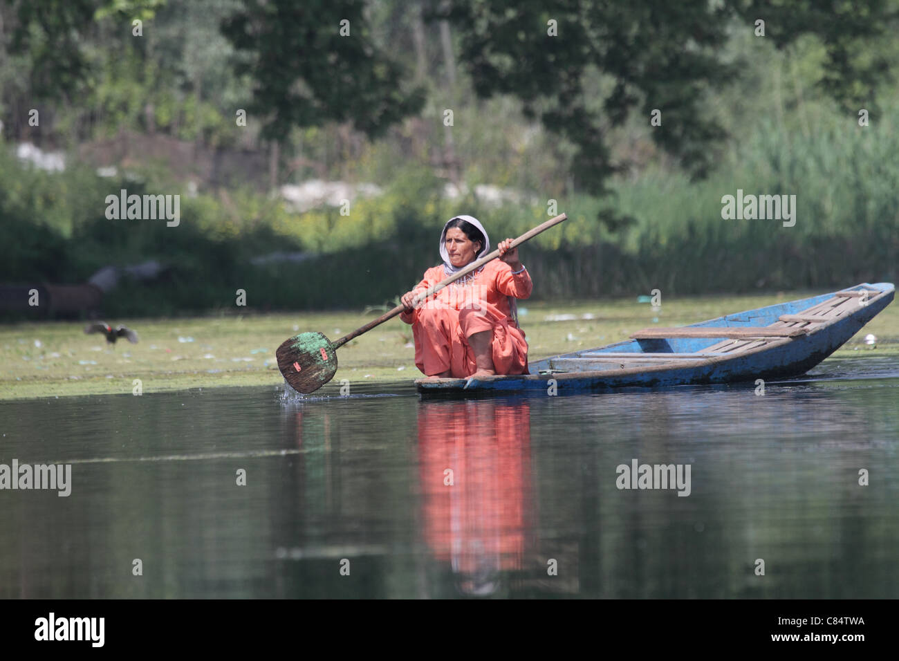 Mujer en bote a remo en dal lago Cachemira india Foto de stock