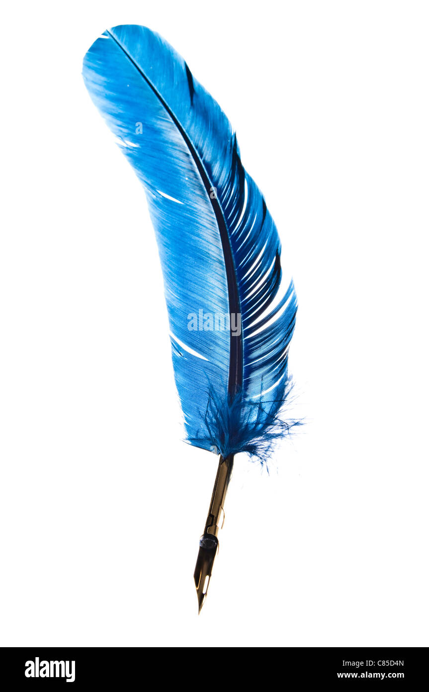 Pluma de plumas azules fotografías e imágenes de alta resolución