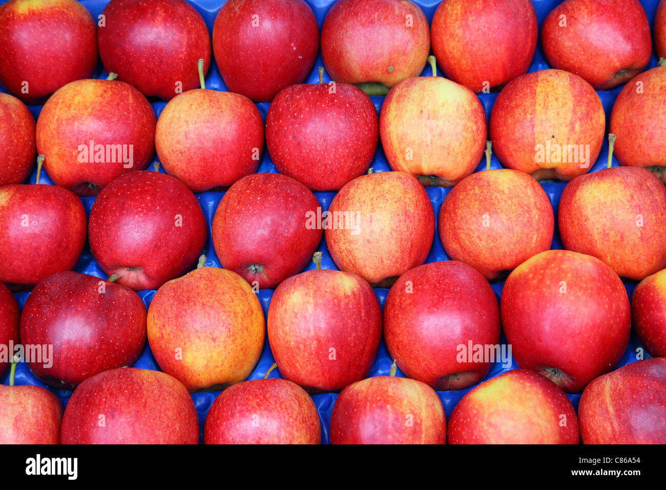Rojas maduras frescas jugosas manzanas sabrosas Foto de stock