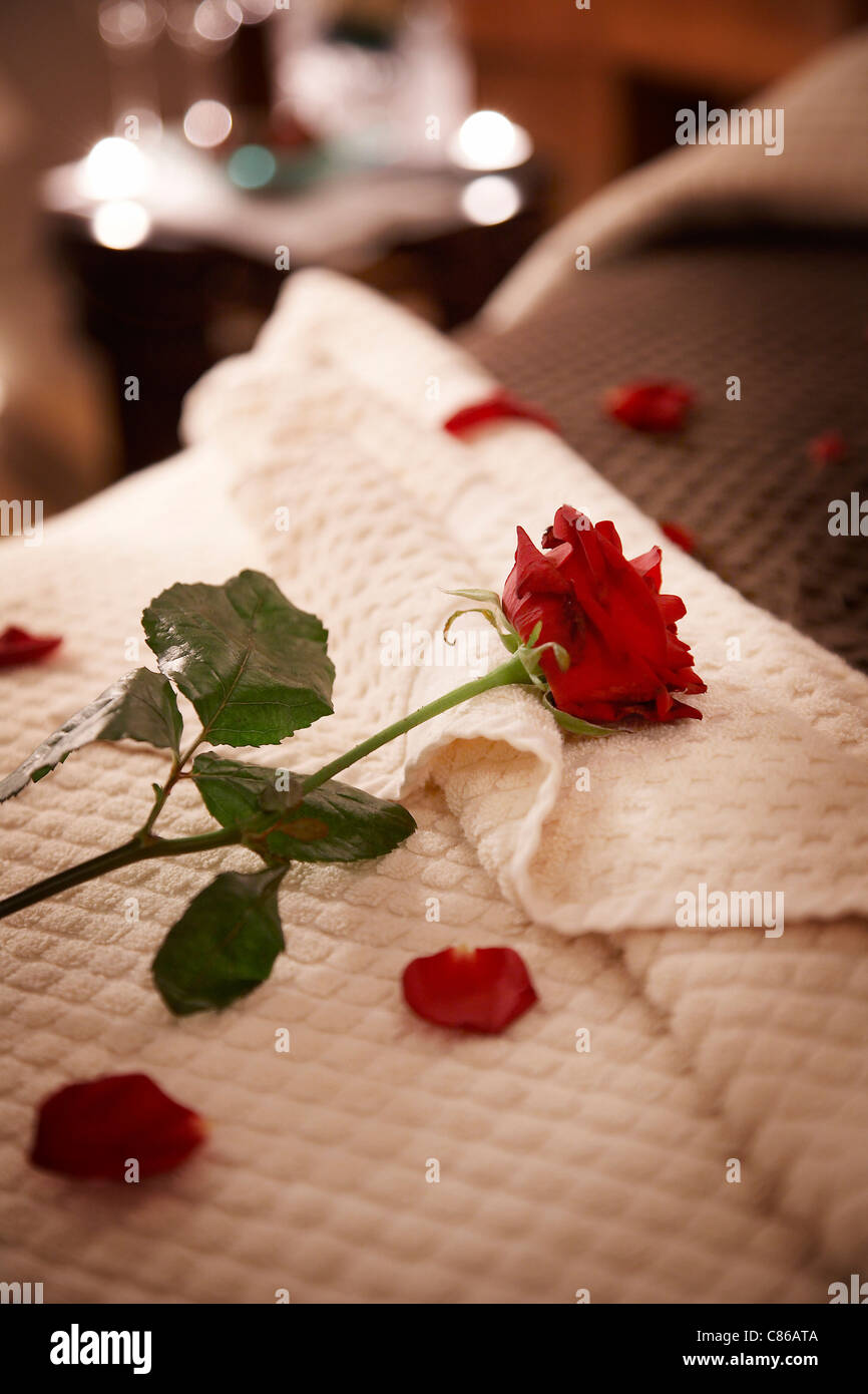 Pétalos de rosa roja y a la izquierda en una cama Fotografía de stock -  Alamy