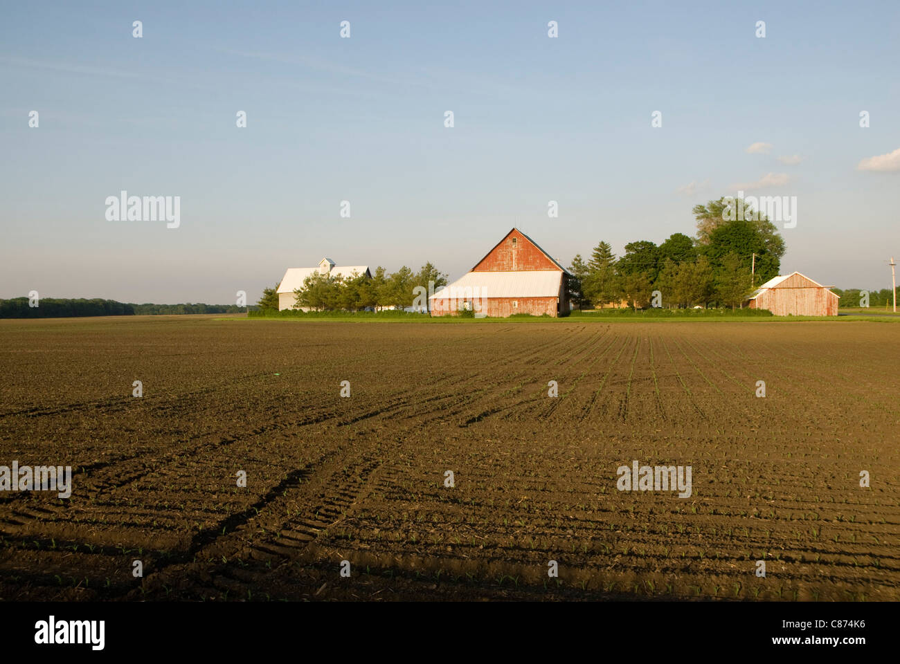 Los edificios de la granja y la pradera, cerca de Champaign Urbana, Illinois, EE.UU. Foto de stock