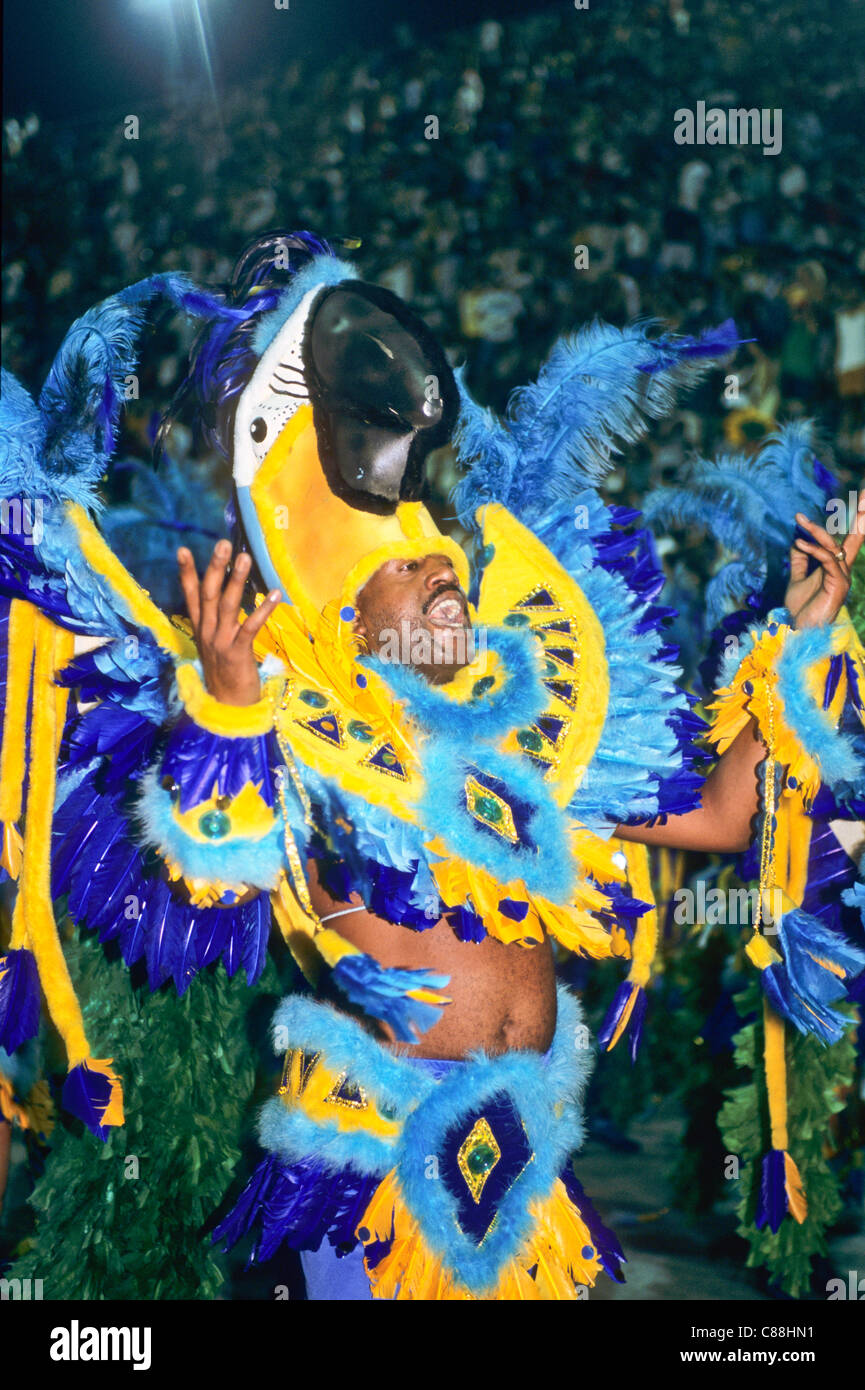 Río de Janeiro, Brasil. Carnaval; hombre en azul y amarillo guacamayo de  plumas del traje Fotografía de stock - Alamy