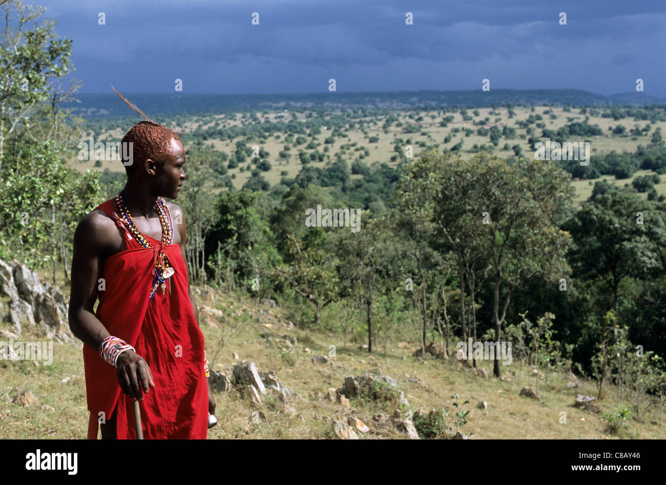 Kenya, Africa. Sudán Maasai; moran guerrero con ocre rojo hairstanding sobre una colina con vistas al campo. Foto de stock