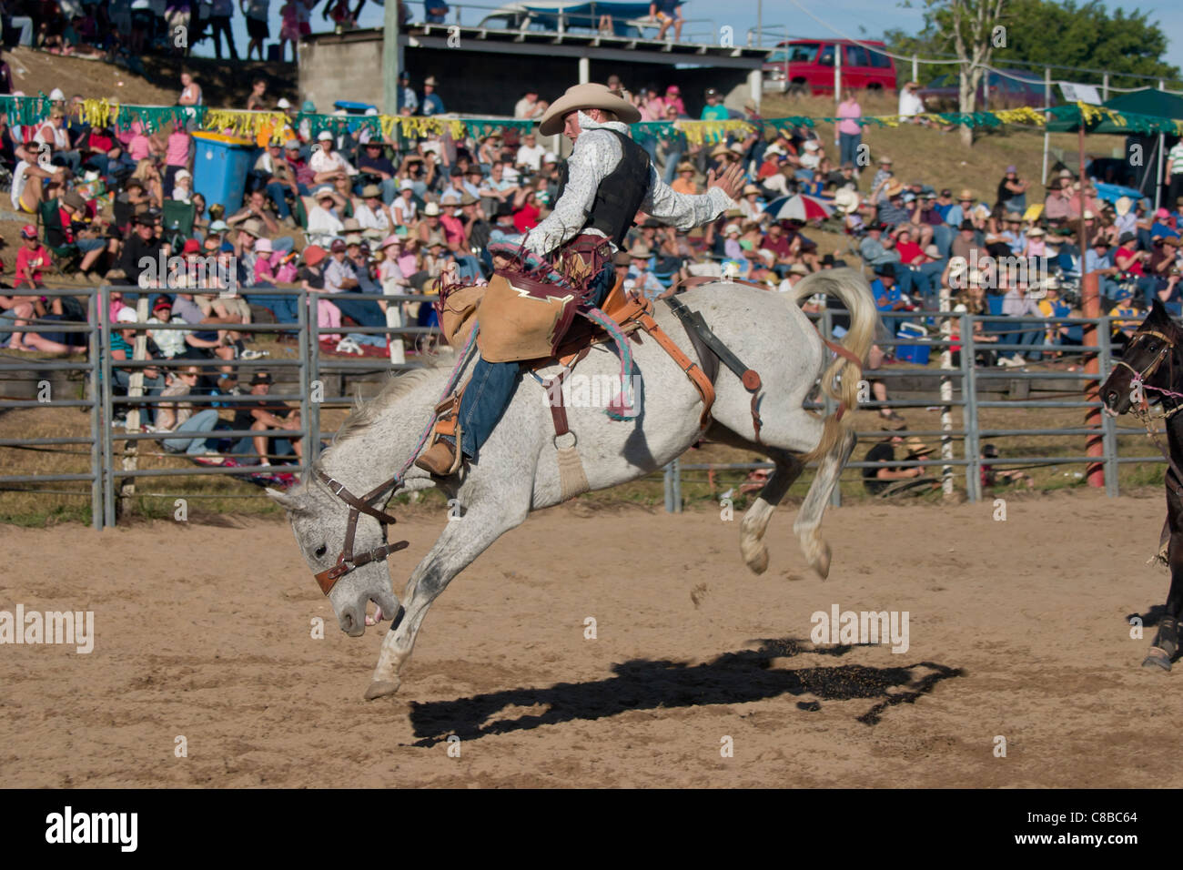 Saddle bronc conduzca al país Dayboro rodeo Foto de stock