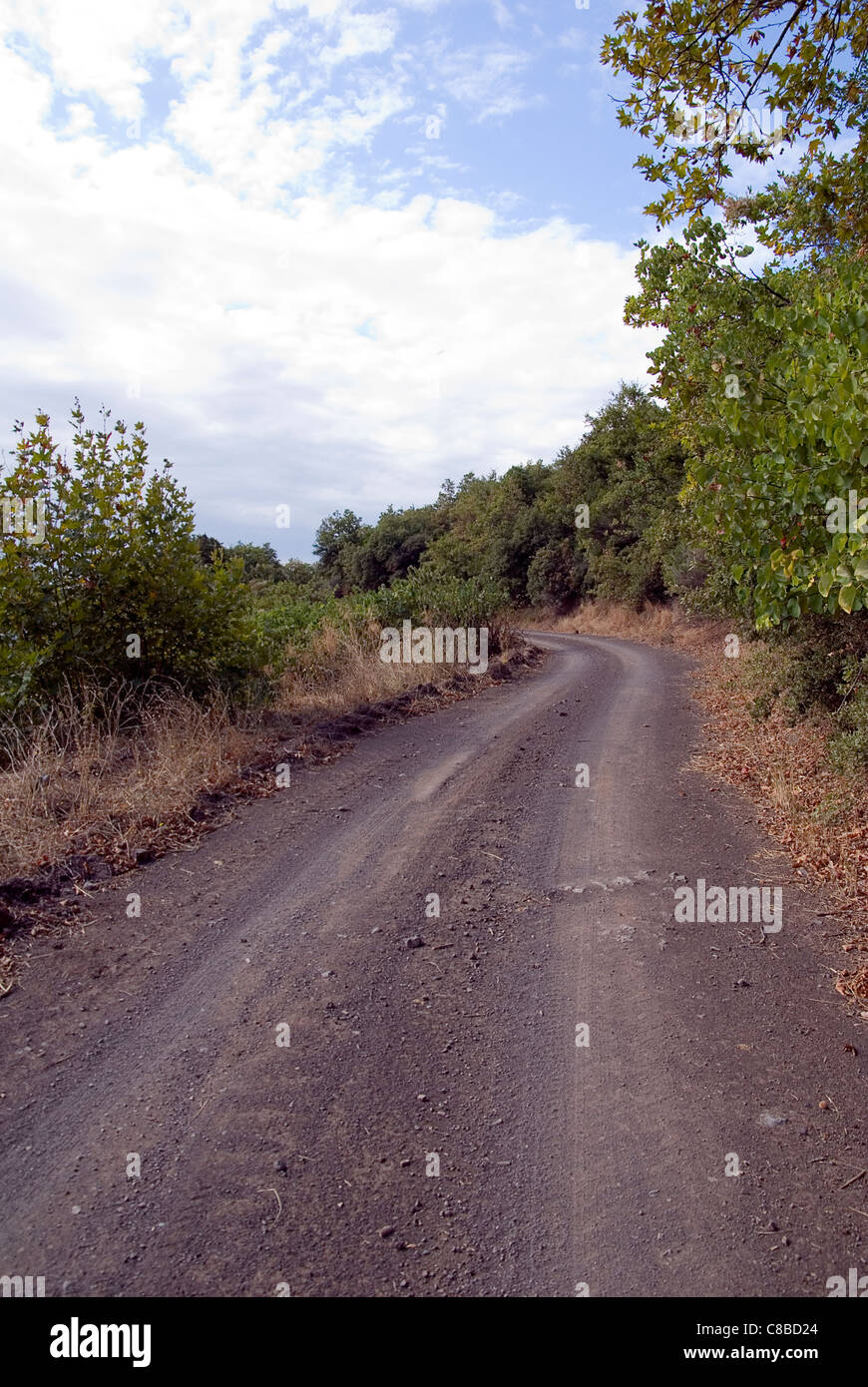 Suciedad rural país carretera curva en el bosque Foto de stock