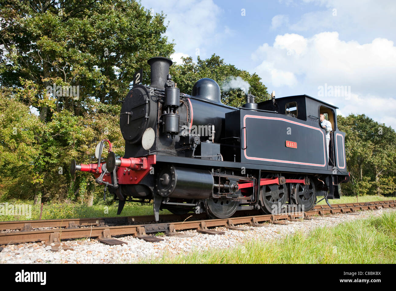 En la Isla de Wight, un tren de vapor, Foto de stock