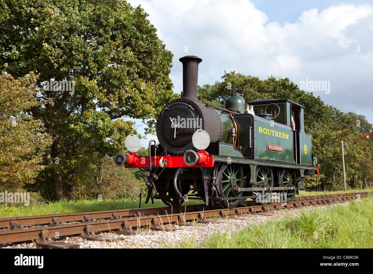 En la Isla de Wight, un tren de vapor, Foto de stock
