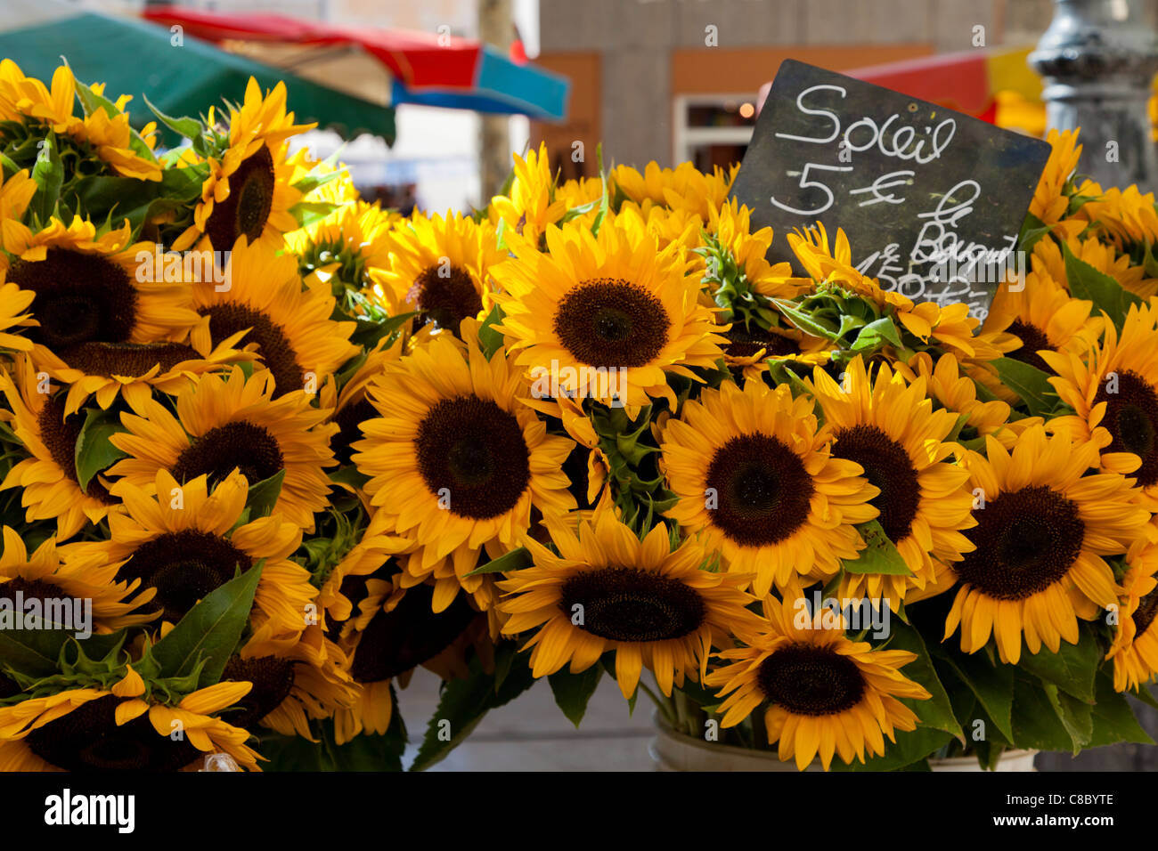 Los girasoles en Aix-en-Provence, mercado de Aix-en-Provence, Francia  Fotografía de stock - Alamy