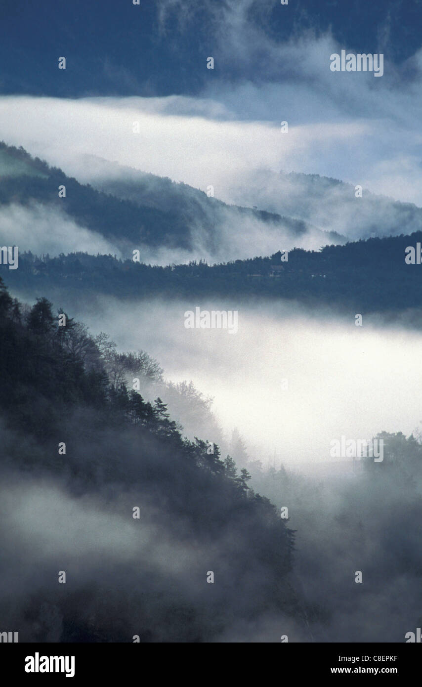 Col de la Croix Haute, Vercors, región, Drome, Provence, Francia, Europa, niebla, niebla Foto de stock