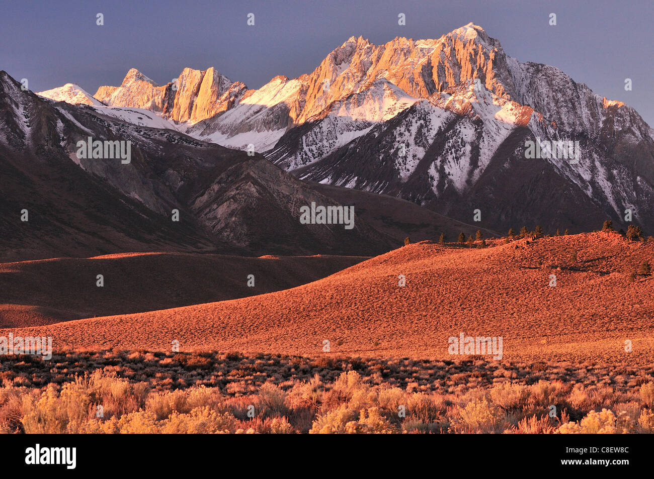 Sierra Nevada, montañas, lagos, Bucle de junio cerca de Lee Vining, California, USA, Estados Unidos, América, sunset Foto de stock