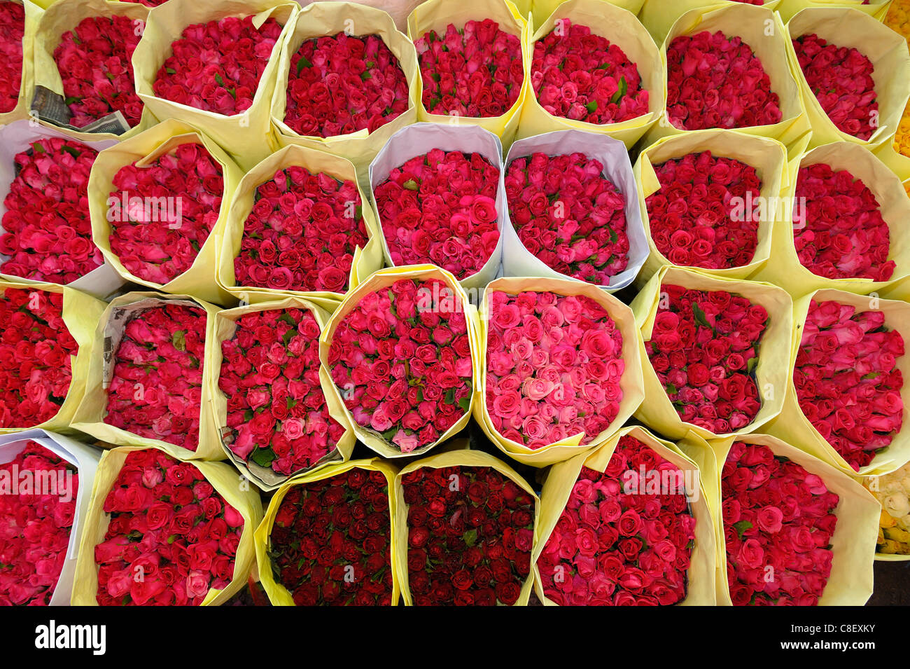 Exóticos, Flores, Flores, Pak Khlong Mercado, Bangkok, Tailandia, en Asia, rojo Foto de stock
