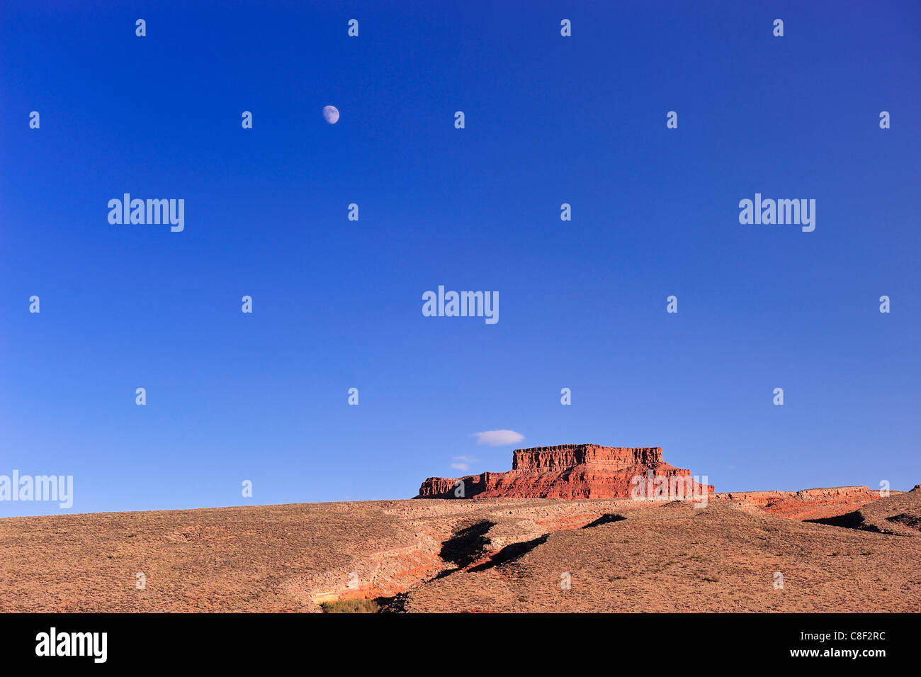 Paisajes, Cedar Bluff, Mesa, cerca de la Meseta de Colorado, Utah, EE.UU., Estados Unidos, América, paisaje Foto de stock