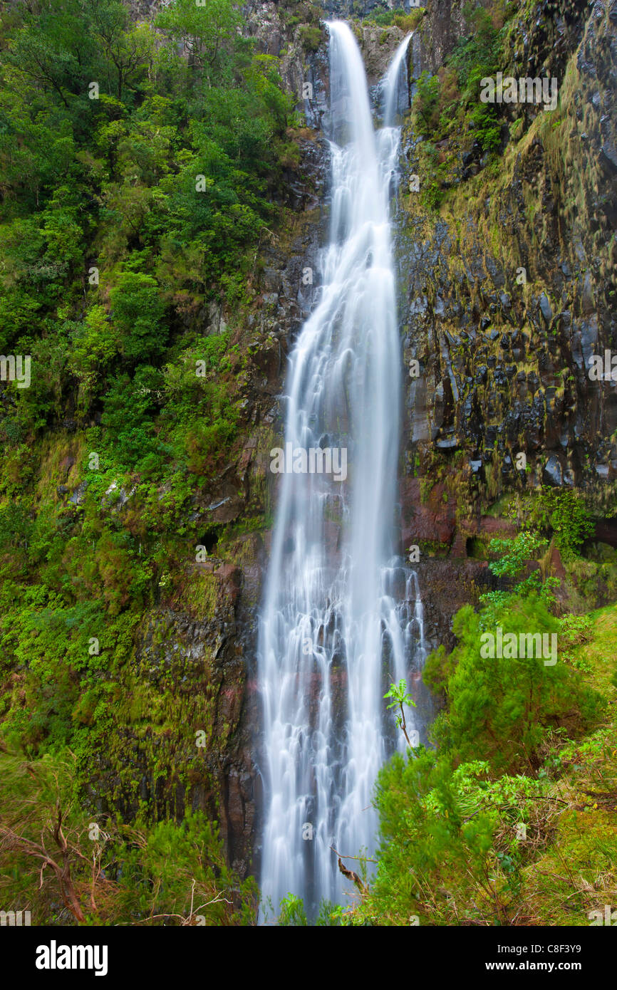Cascata do Risco, Portugal, Europa, Madeira, cascada, cascada, rock, Cliff,  la madera, el bosque Fotografía de stock - Alamy